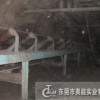 深圳煤矿井下上运带式输送机