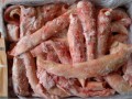 销售进口冷冻猪小肠,猪头,马肉,马小肠,猪口条,鸡爪