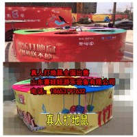 真人版打地鼠厂家直销价格