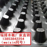 供应广东高抗压蓄排水板，珠海耐撕裂屋顶绿化排水板