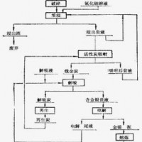 铂思特炭质金矿预处理-炭浸新工艺，从矿石和精矿中提取金的方法