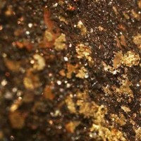 铂思特难选金矿石浮选-焙烧-氰化选矿工艺，硫脲提金技术