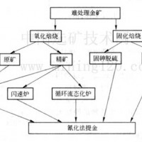 铂思特低品位原生金矿石的生物柱浸工艺，选金尾矿渣回收金的设备