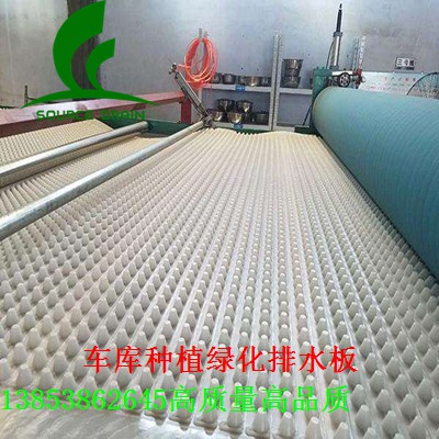 timg (31)