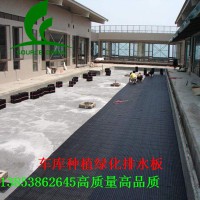（环境绿化疏水板）东营20高车库底板滤水板