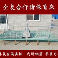 双体加厚猪用保育栏  仔猪保育床