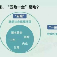 湛江员工社保代理，韶关单位社保代买，揭阳公司社保代交