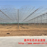 蔬菜温室大棚骨架 供应农用连栋大棚骨架 牢固抗风耐腐蚀