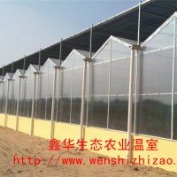 pc阳光板温室 阳光板温室大棚建造 温室大棚安装价格