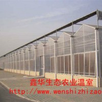 北京阳光板温室建造商 供应智能阳光板温室 连体花卉暖房